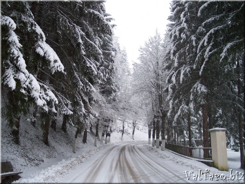 Immagine di Compiano (PR)